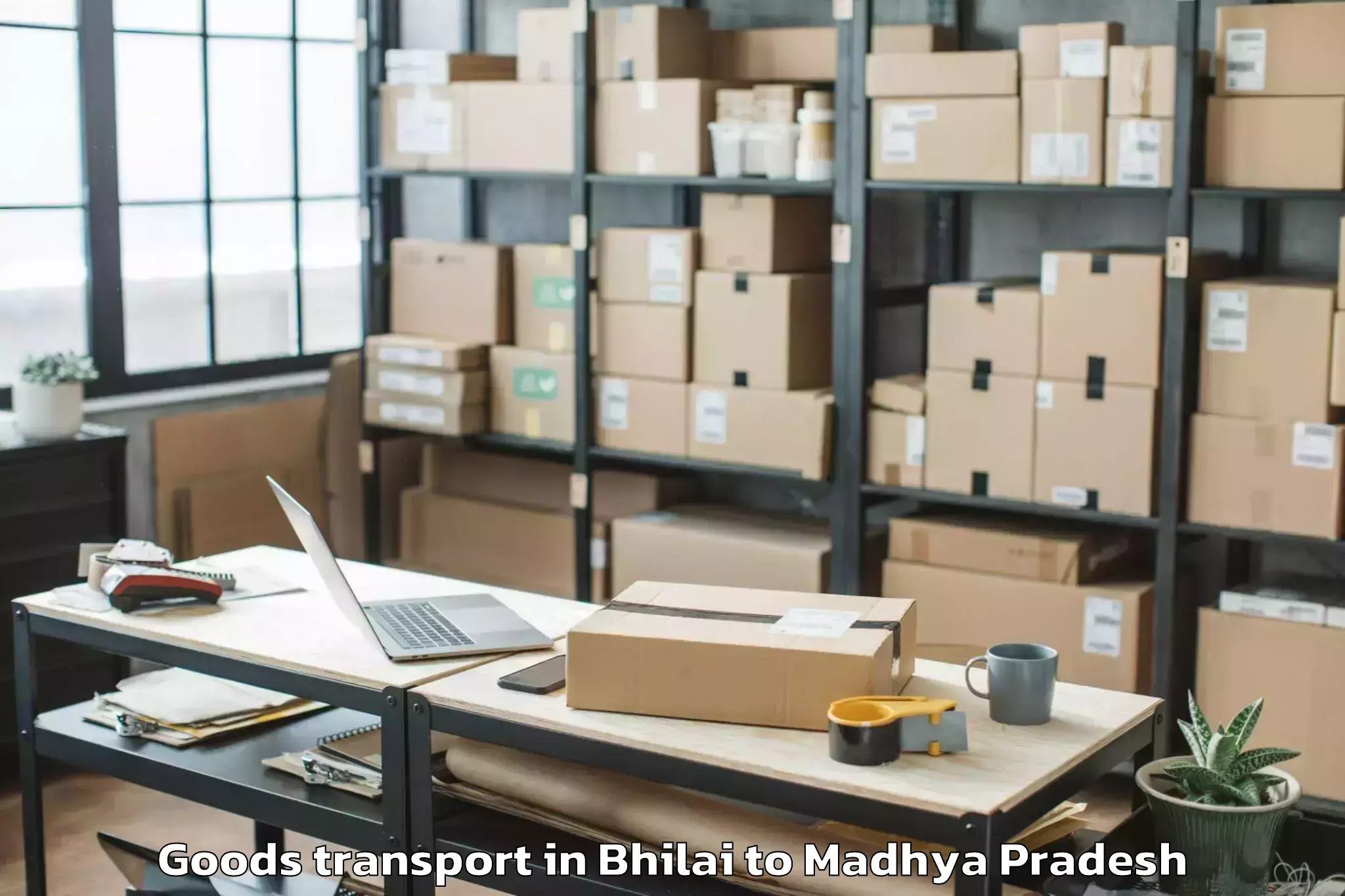 Professional Bhilai to Mandsaur Goods Transport